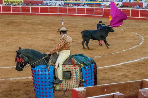 what traditions in the us are similar to bullfighting